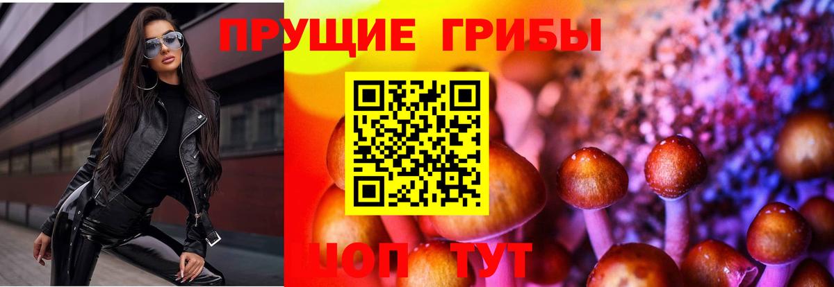 Галлюциногенные грибы Psilocybine cubensis  Вход с VPN  Зима 